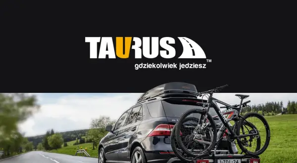 Jak box na dach zwiększa przestrzeń ładunkową i chroni bagaż