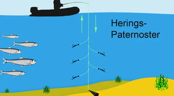 Silhouette eines Anglers auf einem Boot, der mit einer Paternoster-Montage auf Heringe angelt. Mehrere Heringe schwimmen im Wasser.