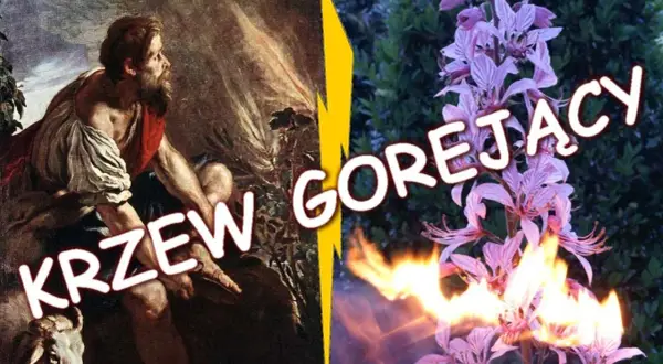Krzak gorejący frazeologizm – znaczenie i biblijne konteksty