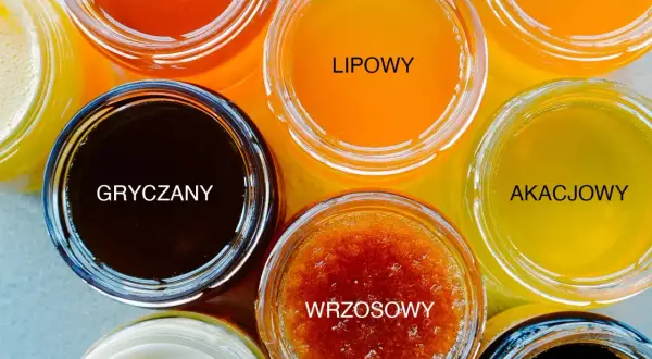 Różne rodzaje miodu w słoiczkach: leśny, lipowy, wielokwiatowy, gryczany, akacjowy, wrzosowy, rzepakowy, spadziowy.