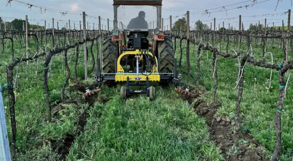 Trattore in vigneto con attrezzo per la lavorazione del terreno, un esempio di moderna resa agricola.