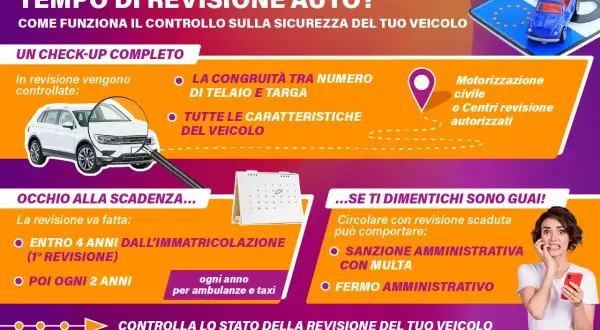 Infografica sulla revisione auto: controlli, scadenze e sanzioni per la revisione auto reimmatricolata.