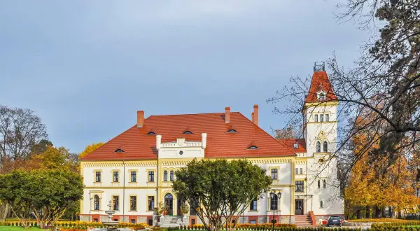 Odwiedź Pałac w Borku Strzelińskim: zabytek i jego historia