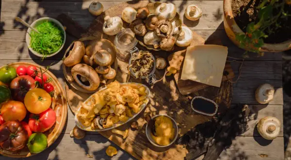 En härlig samling av färska tomater, olika svampar och en bit ost, redo att skapa en umami-smakrik måltid.