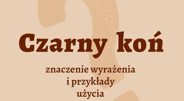 Wyjaśnij znaczenie frazeologizmów pochodzenia literackiego i ich wpływ