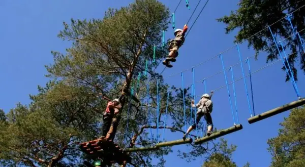 Park linowy Karpacz: Tarzan trasy, ceny i bezpieczeństwo dla rodzin