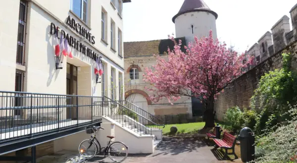 Devant les Archives départementales de l'Yonne, un cerisier en fleurs borde une allée avec un banc et une poubelle.