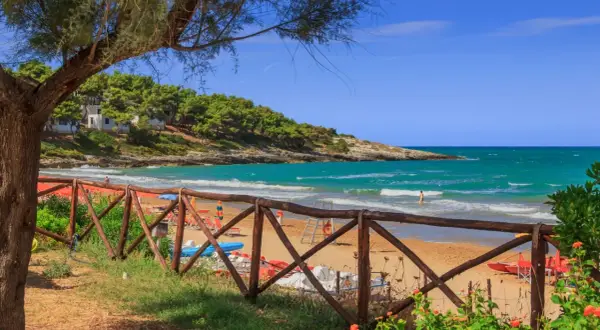 Splendida spiaggia di Crovatico con sabbia dorata, mare turchese e pineta rigogliosa. Un uomo nuota tra le onde.