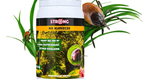 Co zabija kleszcze? Skuteczne metody: chemiczne i naturalne
