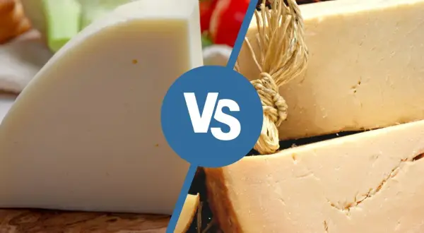 Due fette di formaggio, una chiara e una più scura, con la scritta "Vs" al centro. Forse una sfida tra il provolone e un altro formaggio.