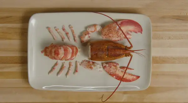Homard décortiqué, prêt à être cuisiné. La partie non comestible, la carapace, est séparée des morceaux de chair.