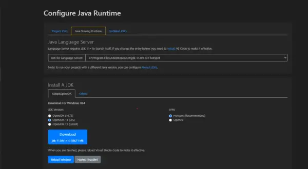Configuration du runtime Java. Le chemin du JDK pour le serveur de langage est défini. Installation d'un JDK avec choix de version.