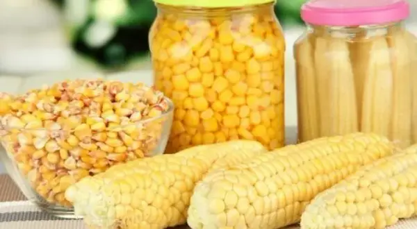 Ile kcal ma kukurydza z puszki? Sprawdź kaloryczność i wartości odżywcze