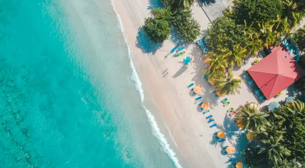 Rajska plaża z turkusową wodą, palmami i leżakami. Idealne miejsce, gdzie lecieć w czerwcu na wakacje.
