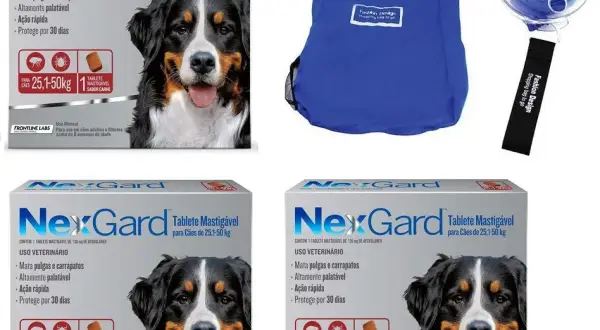 Las mejores pastillas pulgas perros: efectividad y recomendaciones para tu mascota