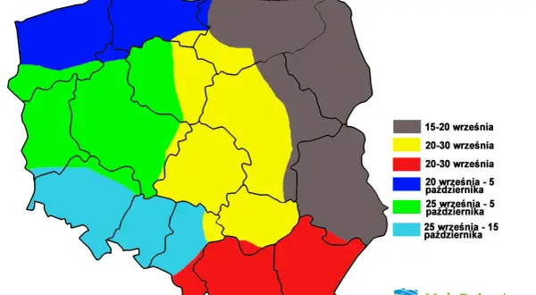 Mapa Polski z terminem siewu pszenicy ozimej. Różne kolory oznaczają optymalne daty od 15 września do 15 października.