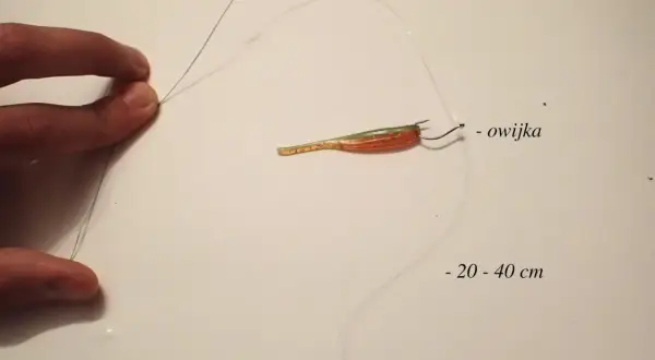 Jak zrobić zestaw drop shot: przypon z przynętą i ołowiem, połączone węzłem Alberto. Długość przyponu 20-40 cm.