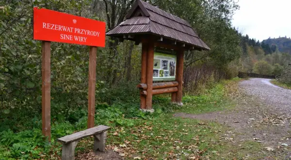 Tablica informacyjna w rezerwacie przyrody Sine Wiry. Drewniana wiata z mapą szlaków i ławka zapraszają do odpoczynku przed leśną wędrówką.