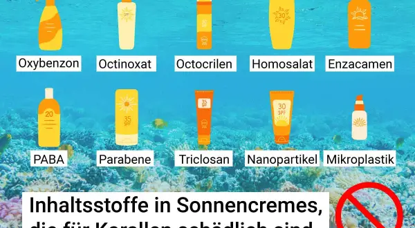 Schädliche Sonnencreme Inhaltsstoffe wie Oxybenzon, Octinoxat und Nanopartikel bedrohen Korallenriffe. Informiere dich über Alternativen.
