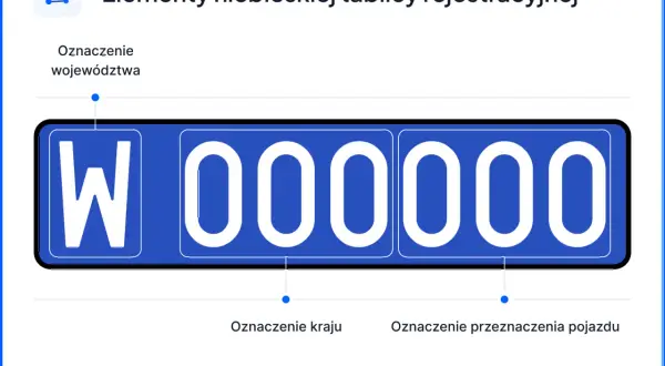 Niebieska rejestracja z literą "W" i cyframi "000000". Podpisano oznaczenie województwa, kraju i przeznaczenia pojazdu.