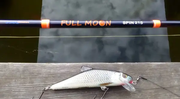 Jaki spinning na szczupaka z brzegu? Wędka "Full Moon Spin 215" i realistyczna przynęta czekają na wodzie.