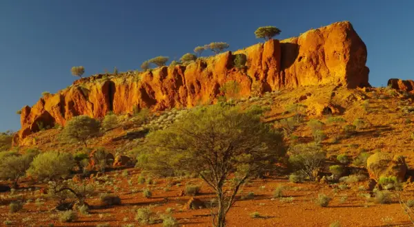 Pomarańczowe klify i pustynna roślinność w parku narodowym w Australii.