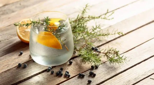 Erfrischendes Getränk mit Zitrone und Wacholder. Auch in der Schwangerschaft eine gute Wahl: Tonic Water.
