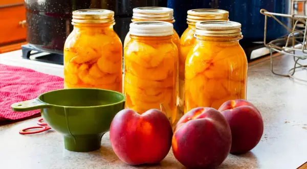 Vorbereitung für das Pfirsiche einkochen: Gläser gefüllt mit Pfirsichspalten, frische Früchte, ein grüner Trichter und rote Einmachringe liegen bereit.