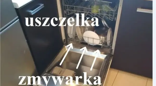 Ile kosztuje wymiana uszczelki w zmywarce? Sprawdź ceny i oszczędź