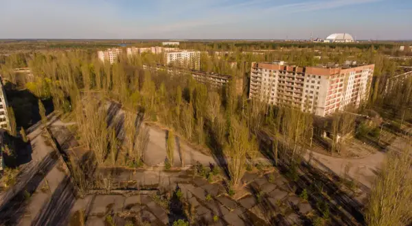 Pusty Prypeć, miasto widmo. Czy Czarnobyl jest zamieszkany? Tylko przez naturę, która odzyskała swoje tereny.