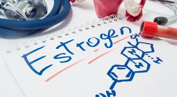 Estrogen co to? Notatka z chemicznym wzorem estrogenu, modelem narządów rodnych i stetoskopem.
