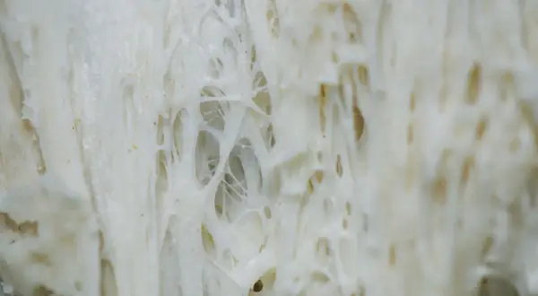 Jak wygląda gluten? Zaskakujące właściwości i wpływ na ciasto