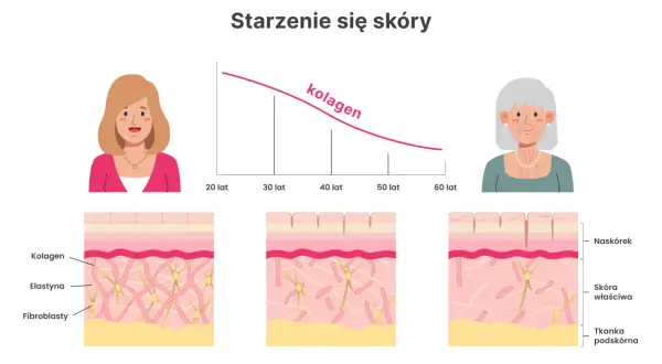 Spadek kolagenu z wiekiem powoduje widoczne objawy starzenia się skóry, takie jak zmarszczki. Ilustracja pokazuje zmiany w strukturze skóry.