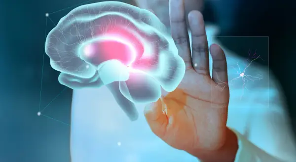 Dłoń dotyka wirtualnego mózgu, sugerując diagnostykę i zapalenie opon mózgowych leczenie. Obok neuron.