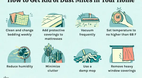Tips on how to get rid of dust mites in mattress: clean bedding, add protective coverings, vacuum, lower temp, reduce humidity, minimize clutter, damp mop, remove heavy curtains.