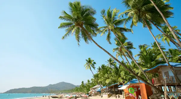 Solig strand med vajande palmer och små stugor i Goa, Indien. En perfekt plats för avkoppling.