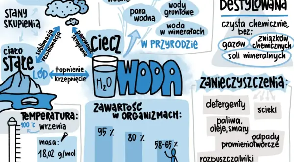 Sketchnoting o wodzie: stany skupienia, cykl w przyrodzie, zawartość w organizmach, zanieczyszczenia i woda destylowana.