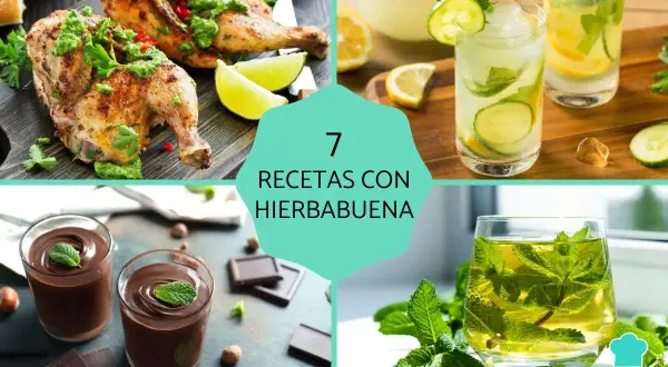 Pollo asado, limonada refrescante, postres de chocolate y té de hierbabuena. Descubre 7 recetas con hierbabuena para sorprender.