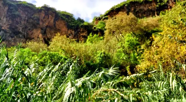 Verde exuberante y rocas escarpadas en el barranco de Azuaje, con un cielo azul y nubes.