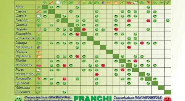 Tabella consociazioni ortaggi con faccine sorridenti (favorevole) e tristi (sfavorevole).