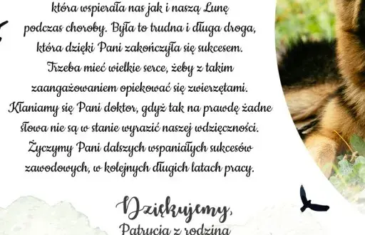 Jak napisać podziękowanie dla weterynarza i wyrazić wdzięczność