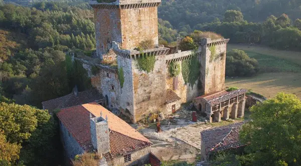 El **castillo de Pambre**, una fortaleza de piedra antigua, se alza entre bosques frondosos. Sus muros cubiertos de hiedra y tejados rojizos evocan historias de antaño.