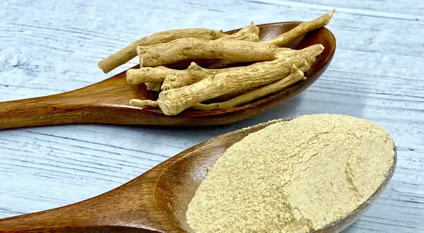 Korzeń ashwagandhy i proszek na drewnianych łyżkach. Czy ashwagandha a karmienie piersią to bezpieczne połączenie?