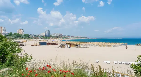 Piękne, puste plaże w Rumunii, z rzędami leżaków i parasoli, w tle budynki mieszkalne i błękitne morze.