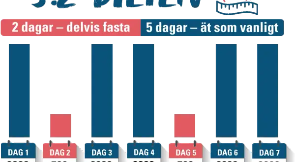 Grafisk illustration av 5:2-dieten: två dagar med begränsat kaloriintag (500 kcal) och fem dagar med normalt intag (2000 kcal).
