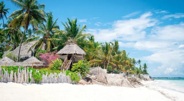 Plaża na Zanzibarze z palmami, chatkami z trawy i drewnianym płotem. Idealne miejsce na wakacje.