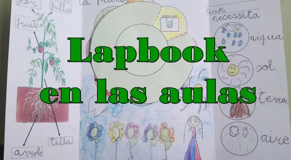 Un lapbook sobre las partes de la planta y lo que necesita. Muestra un dibujo de una planta, flores y sol, agua, tierra y aire.