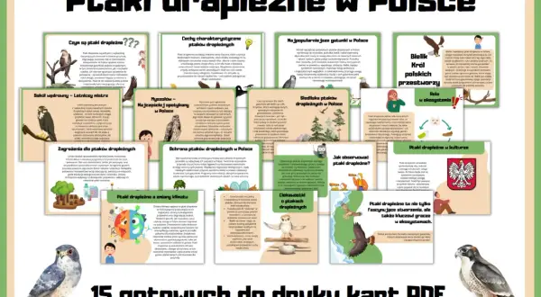 Ptaki drapieżne w Polsce: orzeł bielik, sokół wędrowny, myszołów. Poznaj ich cechy, siedliska, zagrożenia i rolę w ekosystemie.