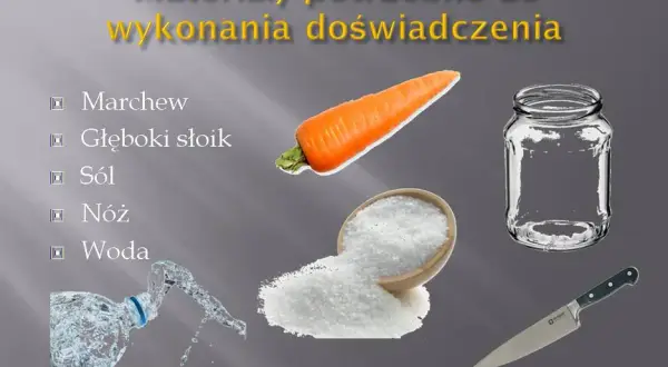 Co to osmoza w biologii? Kluczowy proces dla życia organizmów