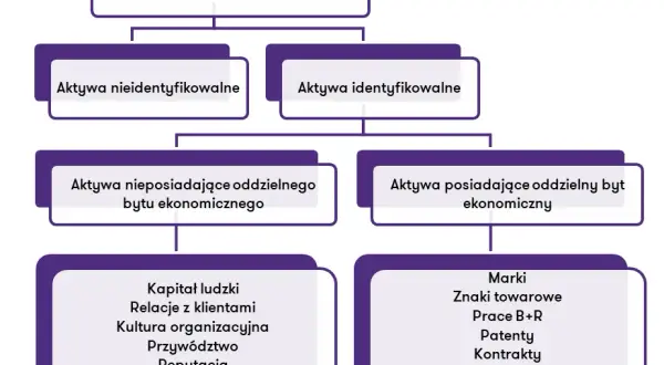 Co to są wartości niematerialne i prawne? Kluczowe informacje i przykłady